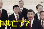 香港希望之聲