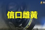 香港希望之聲 香港希望之聲