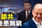 香港希望之聲 香港希望之聲