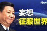 香港希望之聲 香港希望之聲