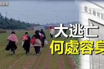 香港希望之聲 香港希望之聲