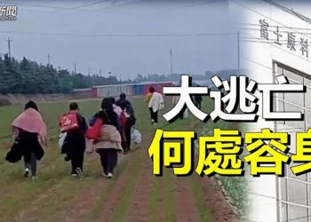【粵覽新聞】鄭州富士康員工連夜大逃亡 官方闢謠被打臉；習近平神秘大內總管受關注 或掌管港澳事務 主播：芬妮    