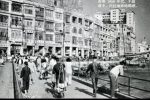 香港希望之聲
