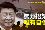 香港希望之聲