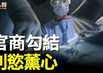 【唐人街】-“官商勾结 利欲薰心”