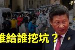香港希望之聲