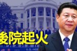 香港希望之聲 香港希望之聲