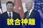香港希望之聲