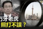 香港希望之聲 香港希望之聲