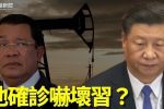 香港希望之聲 香港希望之聲