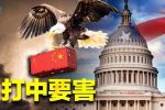 香港希望之聲