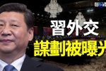 香港希望之聲 香港希望之聲
