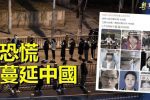 香港希望之聲