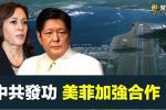 香港希望之聲