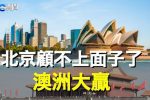 香港希望之聲