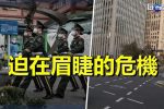 香港希望之聲