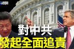 香港希望之聲
