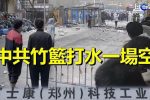 香港希望之聲