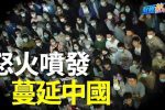 香港希望之聲