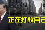 香港希望之聲 香港希望之聲