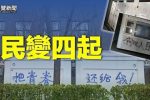 香港希望之聲 香港希望之聲