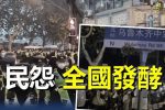 香港希望之聲