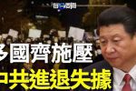 香港希望之聲 香港希望之聲
