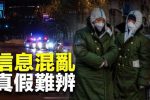 香港希望之聲 香港希望之聲