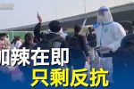 香港希望之聲