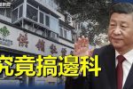 香港希望之聲 香港希望之聲