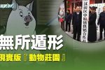 香港希望之聲 香港希望之聲