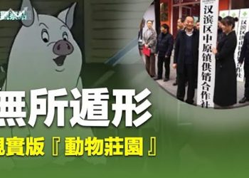 【財經觀察站】時光倒流回到1953年？《動物莊園》來了？     主持人：石頭   嘉賓：黃峻  
