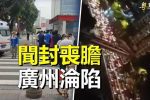 香港希望之聲 香港希望之聲
