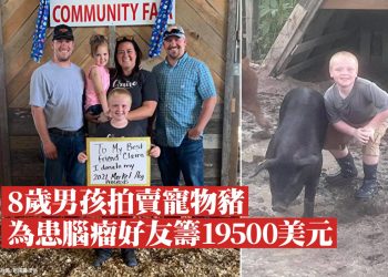 男孩拍賣寵物豬 為好友籌醫療費【姐姐講故事_第59集III】