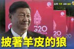 香港希望之聲