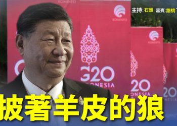 【粵講粵有理】  披著羊皮的狼