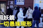 香港希望之聲