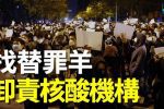 香港希望之聲