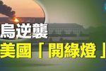 香港希望之聲