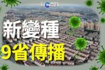 香港希望之聲