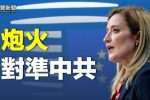 香港希望之聲