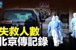 香港希望之聲