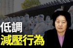 香港希望之聲
