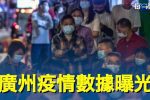 香港希望之聲