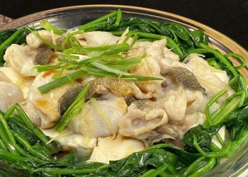 【梁廚美食】肉蓯蓉海參燉瘦肉/ 𩻃魚片蒸滑豆腐
