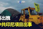 香港希望之聲