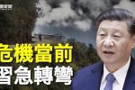 香港希望之聲