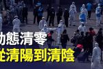 香港希望之聲