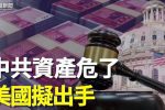 香港希望之聲