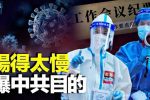 香港希望之聲